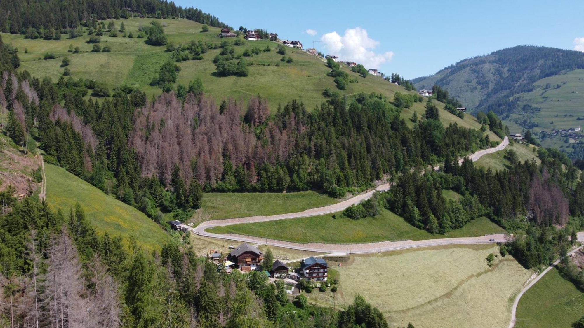Agroturismo Lüch Da Morgnun *